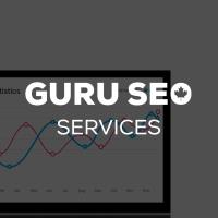 Guru SEO and Web Design Services image 2